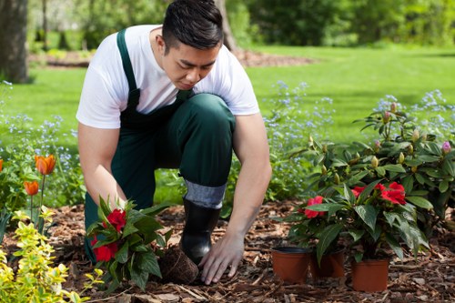 Insurance documents and certificates for a professional gardening service